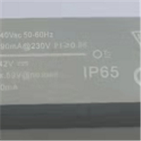 DL-48W010V-123C100系列